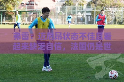 弗雷:迈尼昂状态不佳且看起来缺乏自信,法国仍是世界杯热门之一 弗雷:迈尼昂状态不佳且看起来缺乏自信,法国仍是世界杯热门之一