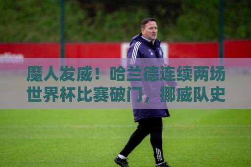 魔人发威！哈兰德连续两场世界杯比赛破门，挪威队史首人