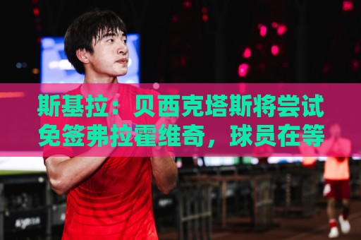 斯基拉:贝西克塔斯将尝试免签弗拉霍维奇,球员在等待其他报价 斯基拉:贝西克塔斯将尝试免签弗拉霍维奇,球员在等待其他报价