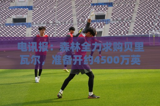 电讯报:森林全力求购贝里瓦尔,准备开约4500万英镑的第二份报价 电讯报:森林全力求购贝里瓦尔,准备开约4500万英镑的第二份报价