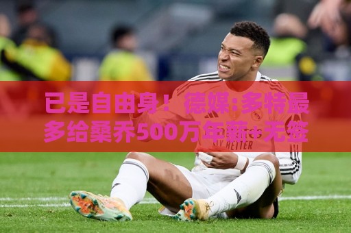 已是自由身!德媒:多特最多给桑乔500万年薪+无签字费 球员愿降薪 已是自由身!德媒:多特最多给桑乔500万年薪+无签字费 球员愿降薪