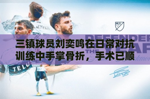 三镇球员刘奕鸣在日常对抗训练中手掌骨折,手术已顺利完成 三镇球员刘奕鸣在日常对抗训练中手掌骨折,手术已顺利完成