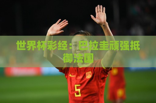 世界杯彩经:巴拉圭顽强抵御法国 世界杯彩经:巴拉圭顽强抵御法国