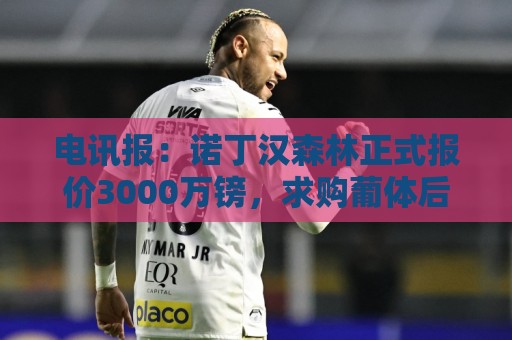 电讯报:诺丁汉森林正式报价3000万镑,求购葡体后卫迪奥曼德 电讯报:诺丁汉森林正式报价3000万镑,求购葡体后卫迪奥曼德