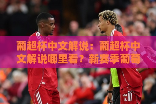 葡超杯中文解说：葡超杯中文解说哪里看？新赛季葡萄牙超级杯观赛渠道与解说亮点全梳理🌴线上十大最稳进球网全场回放投屏赛程投注录像回放策略