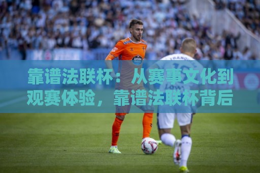 靠谱法联杯：从赛事文化到观赛体验，靠谱法联杯背后有哪些值得聊的门道？🌴今日最新外围博球站半全场动画水位精彩片段流畅代理
