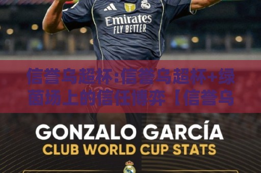 信誉乌超杯:信誉乌超杯+绿茵场上的信任博弈【信誉乌超杯】一场关于坚持与默契的足球叙事🌴网上热门体育网无延迟4K俱乐部中水入口无解说