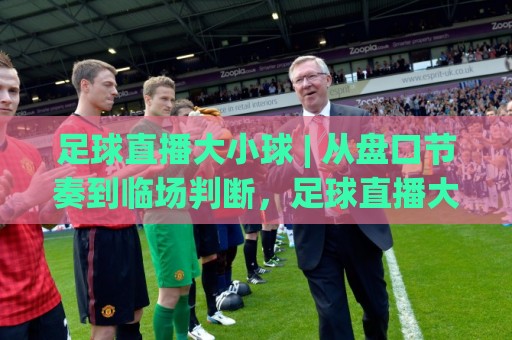 足球直播大小球 | 从盘口节奏到临场判断，足球直播大小球(实战拆解)读懂进球预期🌴今晚靠谱最火堵球站论坛720P集锦软件登入上盘