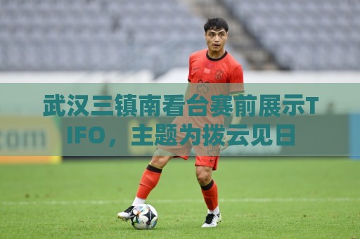 武汉三镇南看台赛前展示TIFO,主题为拨云见日 武汉三镇南看台赛前展示TIFO,主题为拨云见日