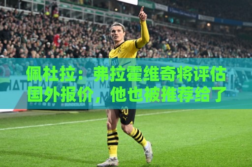 佩杜拉:弗拉霍维奇将评估国外报价,他也被推荐给了那不勒斯 佩杜拉:弗拉霍维奇将评估国外报价,他也被推荐给了那不勒斯