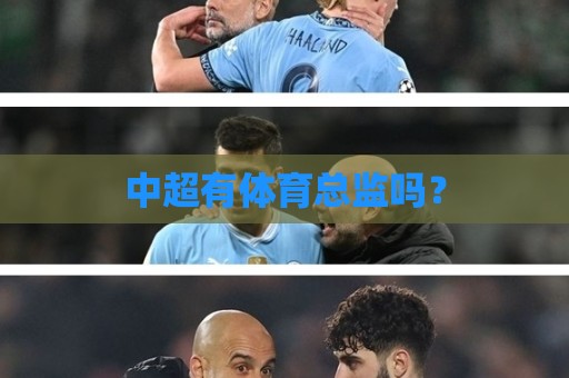 中超有体育总监吗? 中超有体育总监吗?