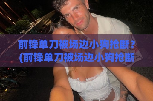 前锋单刀被场边小狗抢断?(前锋单刀被场边小狗抢断) 2026年足坛最搞笑瞬间大盘点 前锋单刀被场边小狗抢断?(前锋单刀被场边小狗抢断) 2026年足坛最搞笑瞬间大盘点